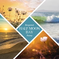 Image 2 of Half Moon Bay Bar - Bergamot, Peony & Marine Soap