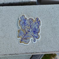 Image 2 of Crape Myrtle #3