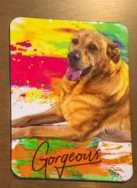 Image 2 of Whimsical dog magnets