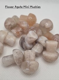 Image 3 of Mini Mushies