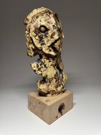 Image 4 of "Hootie"