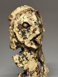 Image 5 of "Hootie"