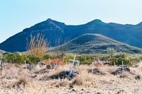 Image 1 of Concordia Cemetery by Kat Swansey - Framed Photograph