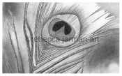 Image of Drawing for Beginners with Rebecca Jarman
