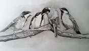 Image of Drawing for Beginners with Rebecca Jarman