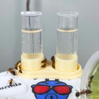 Image 5 of Abreuvoir double 10ml