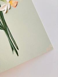 Image 4 of PROSECCO ON ALCOVE GREEN - GICLÉE PRINT