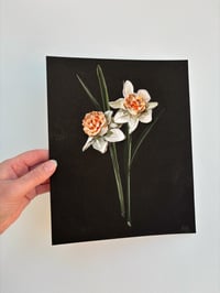 Image 2 of PETIT FOUR ON WARM BLACK - GICLÉE PRINT