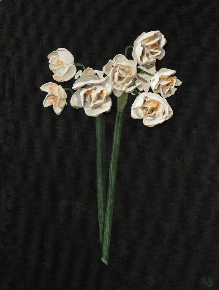 Image of BRIDAL CROWN ON WARM BLACK - GICLÉE PRINT