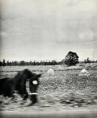 Image 6 of CAMERA MAINICHI ’72