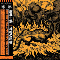 Fuinäehot - Secrets of the Godhead LP 