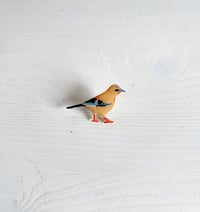 Image 1 of Jay - Birds from UK - Handmade Pin Resin.