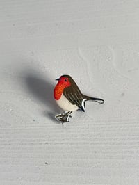 Image 1 of Robin - Birds from UK - Handmade Pin Resin.