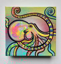 Rainbow He'e 