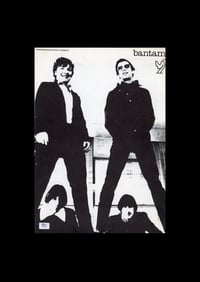 Image 5 of LOU REED AND THE VELVETS - NIGEL TREVENA