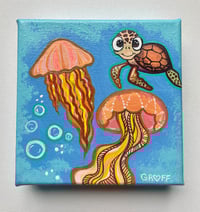 Jellyfish Honu
