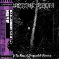 Image 1 of Sanguine Relic - Within the Fog of Fragmented Memory LP 
