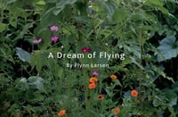 A Dream of Flying