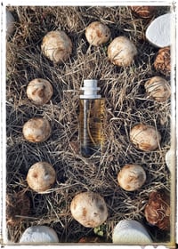 Image 1 of Mushmallow - 30ml
