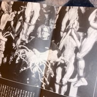 Image 4 of Naked Lunch Promo Album