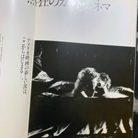 Image 4 of ERASERHEAD Promo Album