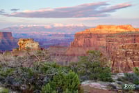 La Sal Mountains From Canyonlands (0025)