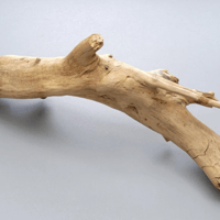 Image 1 of Rustic Roots  