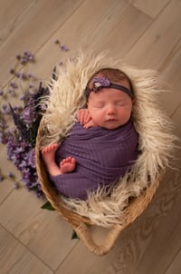 Image 1 of NEWBORN session