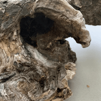 Image 2 of Saltwater Finds