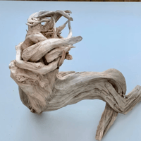 Image 1 of Ocean Breeze Art