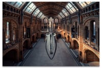 Natural History Museum - London 自然歷史博物館 - 倫敦
