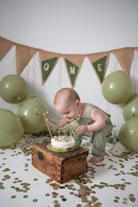 Image 19 of ONE YEAR CAKE SMASH