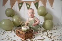 Image 18 of ONE YEAR CAKE SMASH