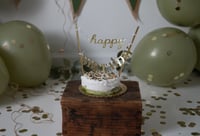Image 17 of ONE YEAR CAKE SMASH