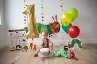 Image 24 of ONE YEAR CAKE SMASH