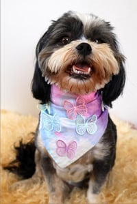 Image 2 of Dog Bandanas - Butterfly Moment