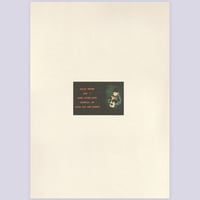 Image 6 of Buffalo '66 Promo Album