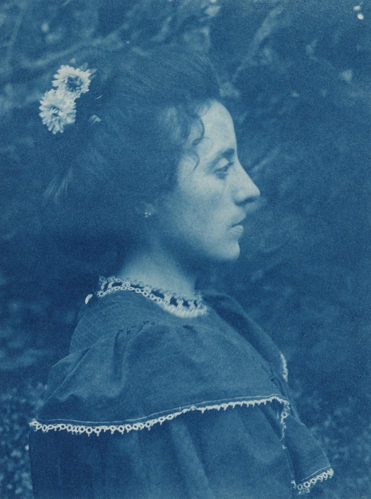 Image of Unknown: portrait in profile of a lady, ca. 1900