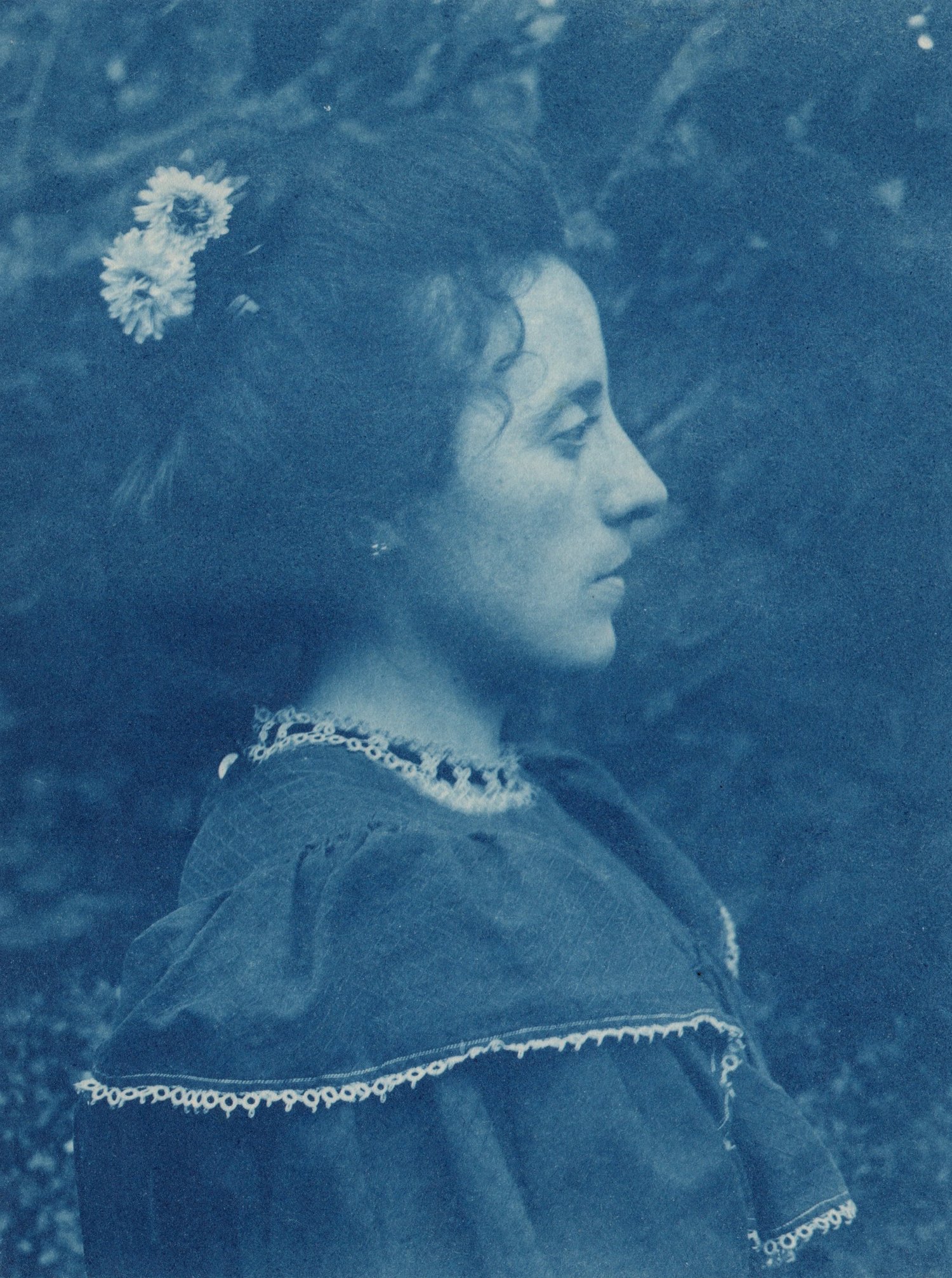Image of Unknown: portrait in profile of a lady, ca. 1900
