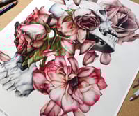 Image 4 of Heaven / Hurricane