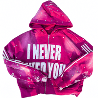 Image 3 of I NEVER LIKED YOU