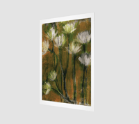 Image 2 of Daisy Exploration