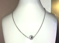 Image 1 of Collar Zinnia