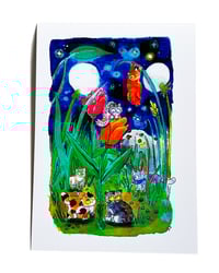 Image 1 of A5 - Chat roux