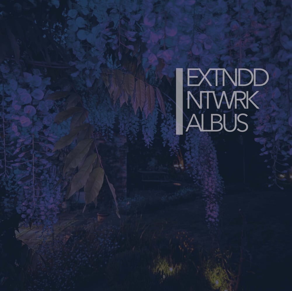 Image of EXTNDDNTWRK 'Albus' 2LP  PRE-ORDER