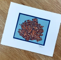 Image 1 of Oyster Mushroom Reduction Lino Print