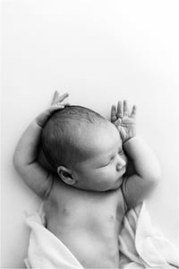 Image 1 of Collection Two - Exclusive 