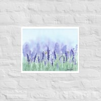 Lavender Fields Forever Print