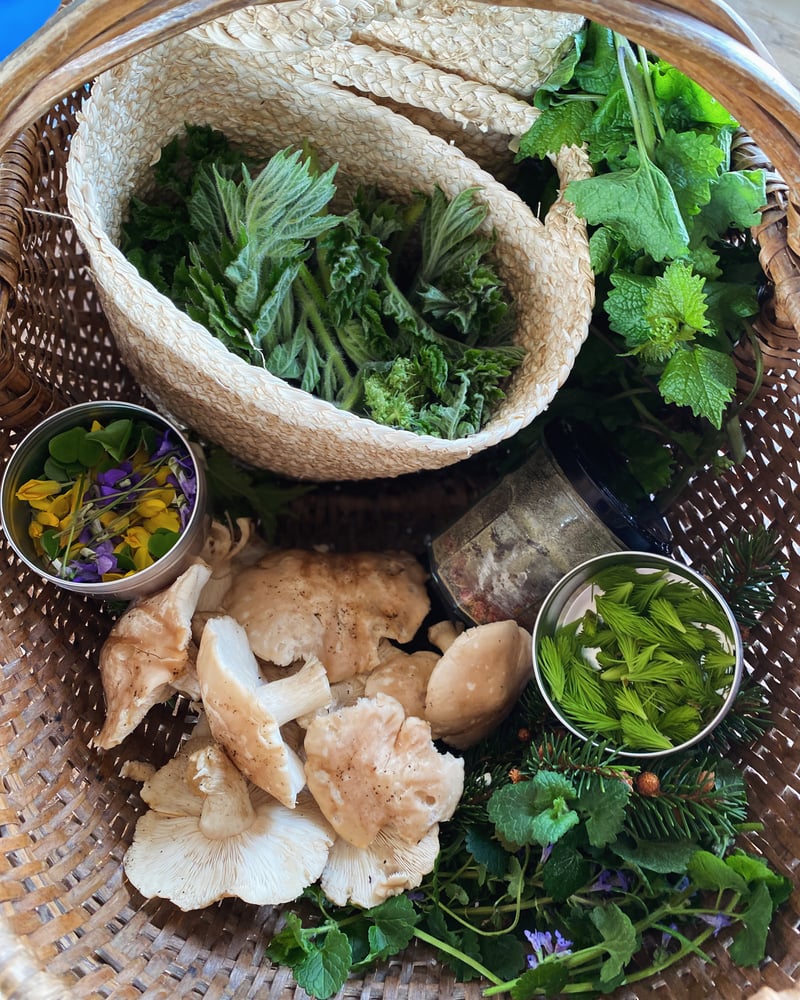 Image of MAY & JUNE FORAGING WALKS AT BRUERN FARMS