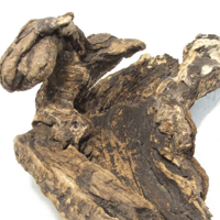 Image 1 of Sea Breeze Designs